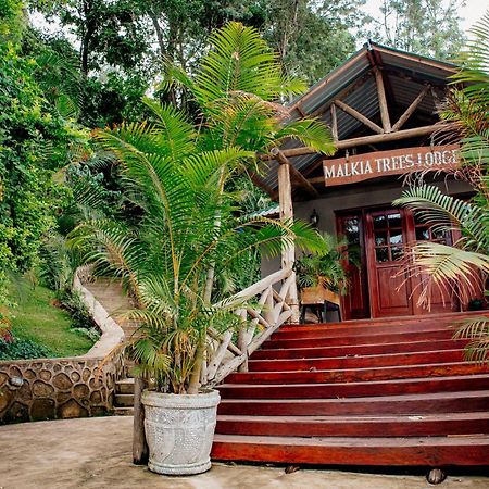 Malkia Trees Lodge Arusha Exterior photo