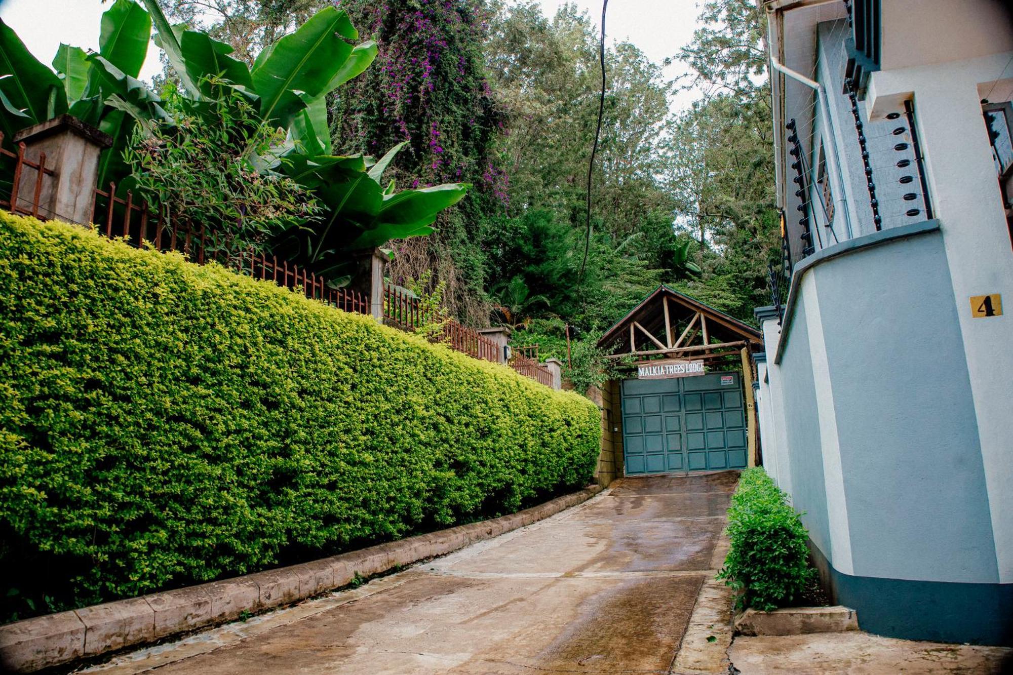 Malkia Trees Lodge Arusha Exterior photo