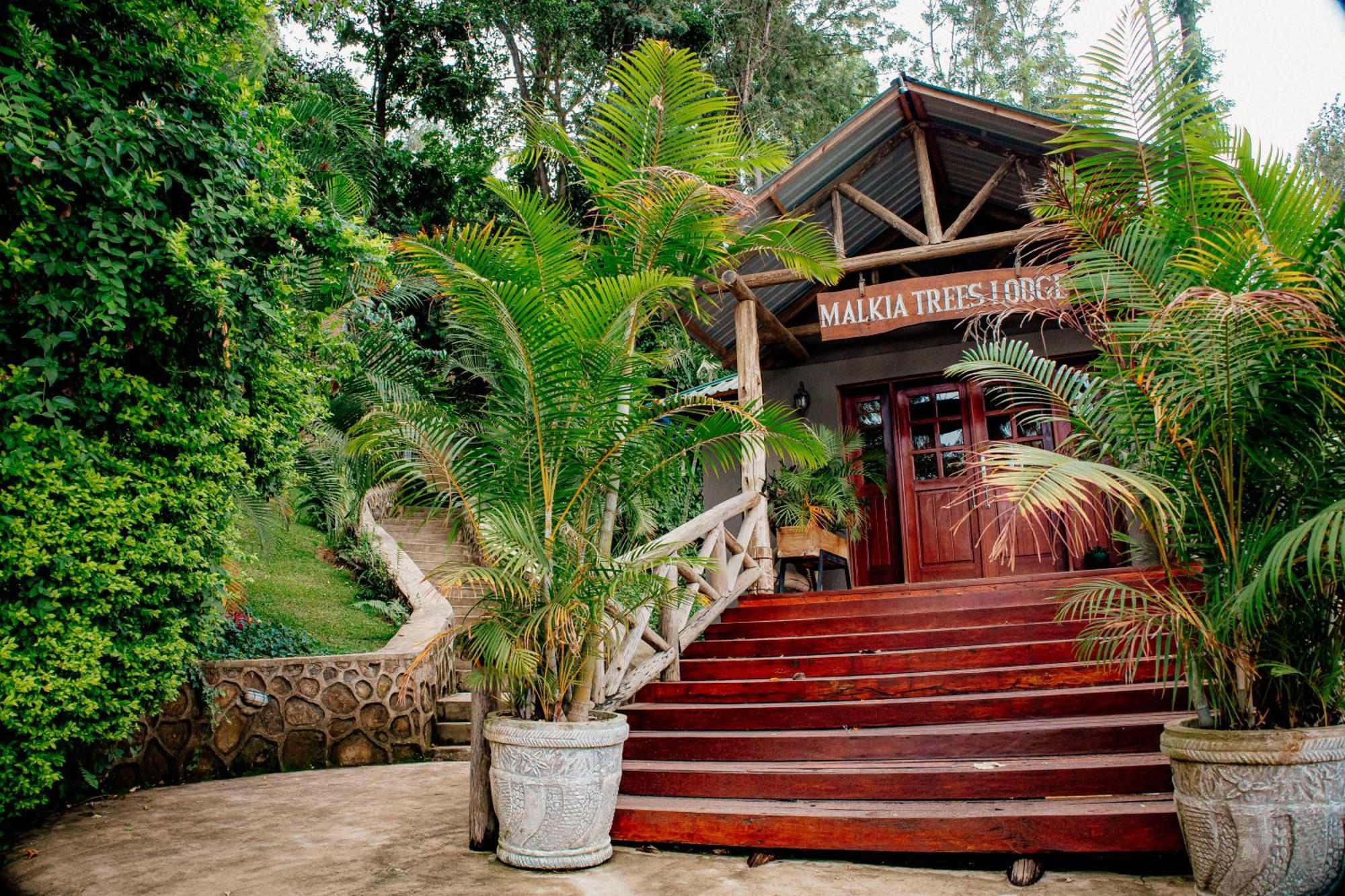 Malkia Trees Lodge Arusha Exterior photo