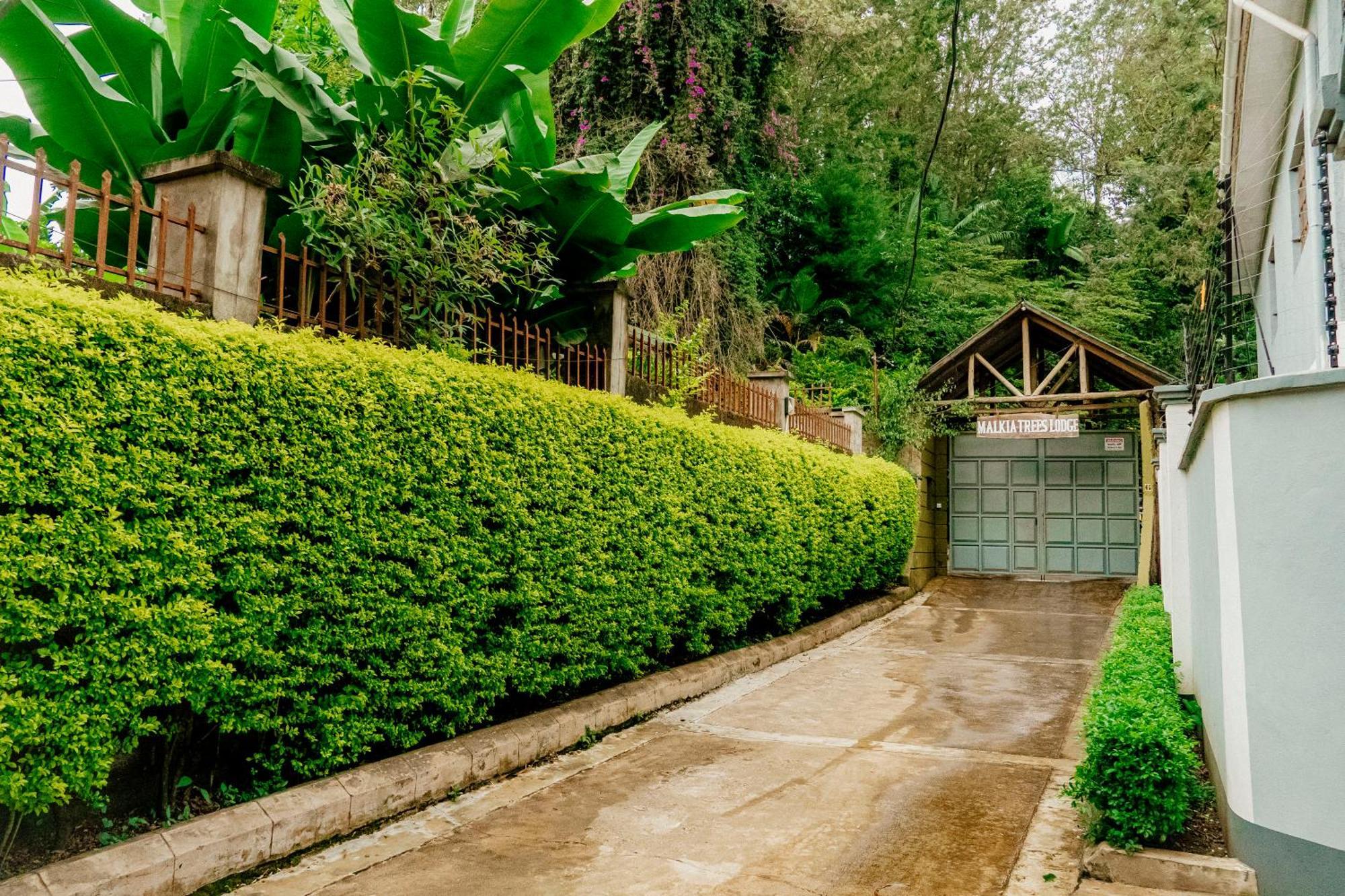 Malkia Trees Lodge Arusha Exterior photo