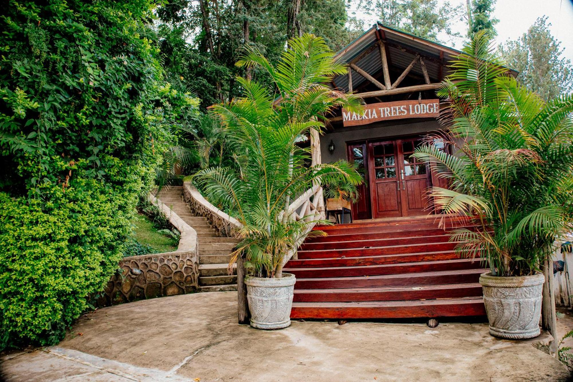 Malkia Trees Lodge Arusha Exterior photo