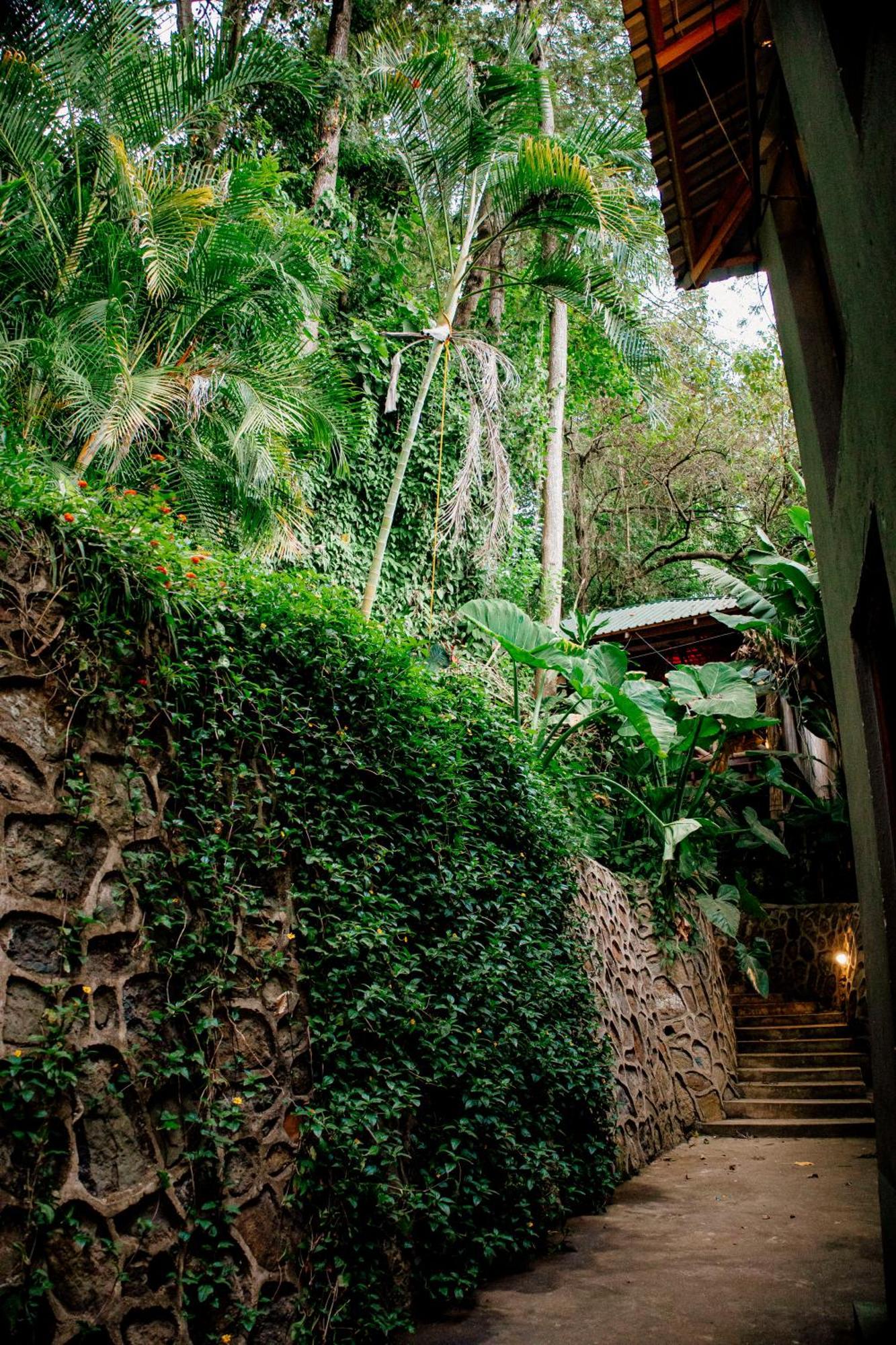 Malkia Trees Lodge Arusha Exterior photo