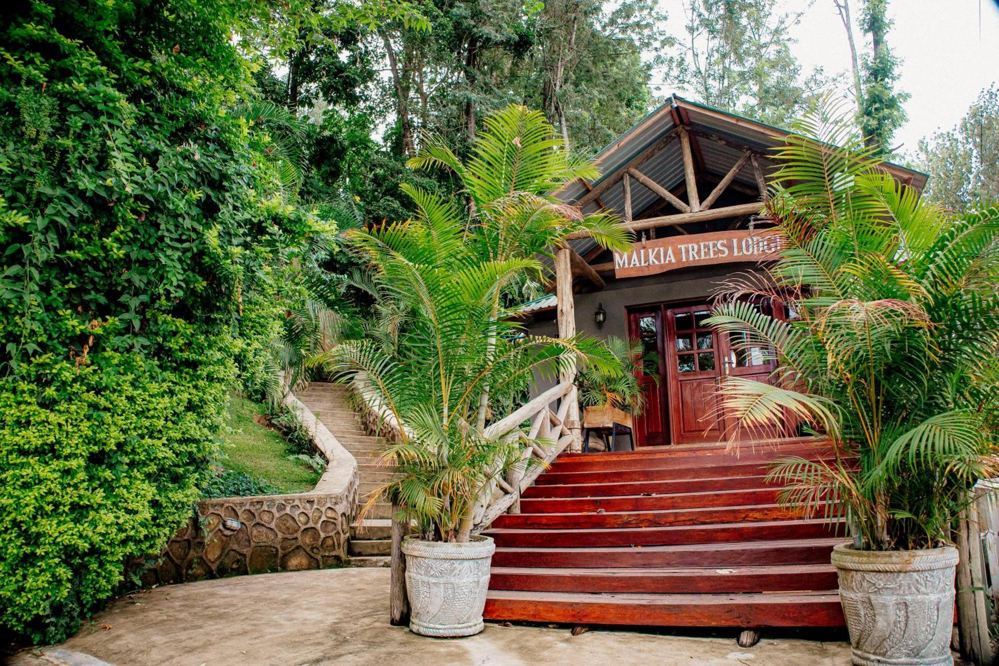 Malkia Trees Lodge Arusha Exterior photo