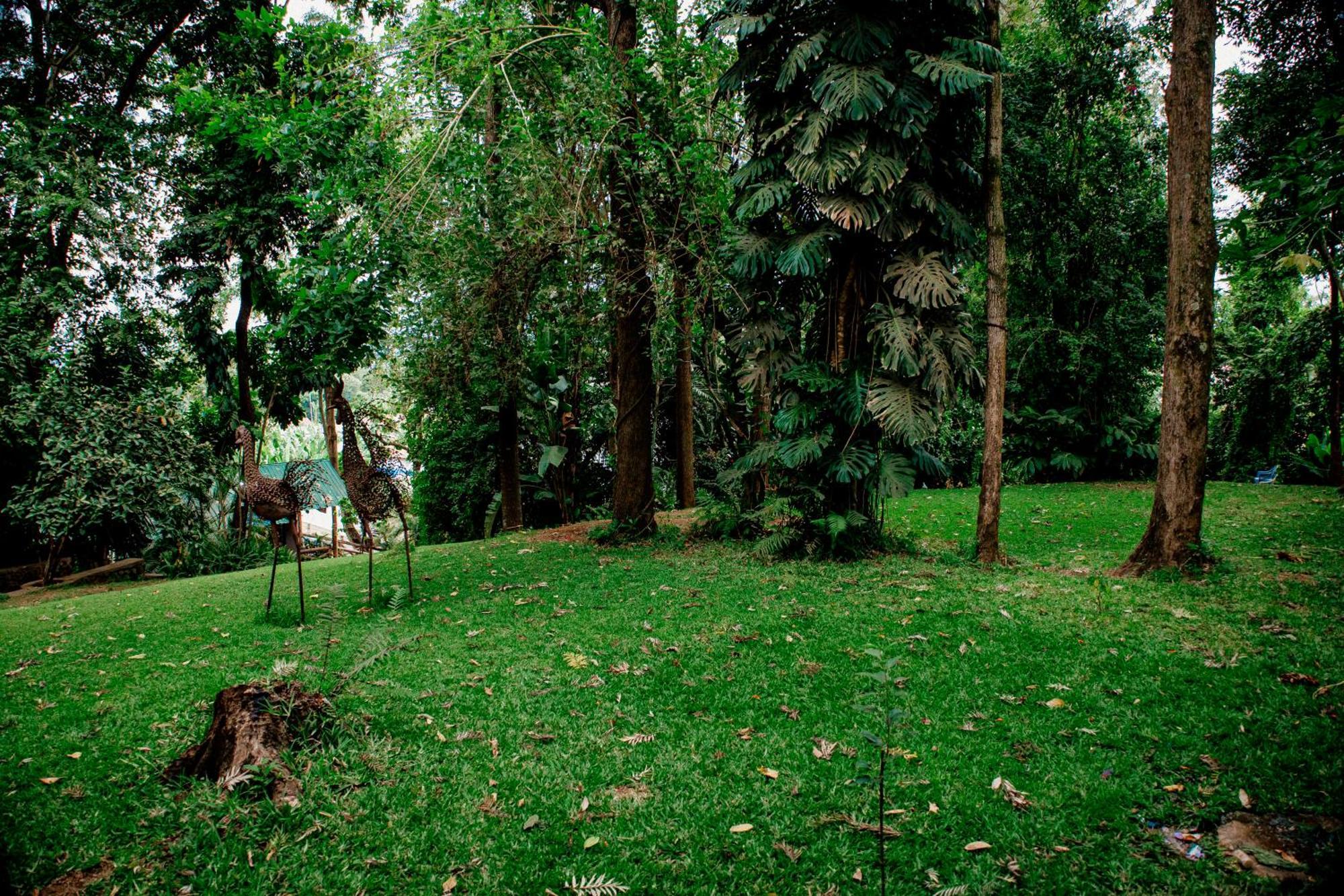 Malkia Trees Lodge Arusha Exterior photo