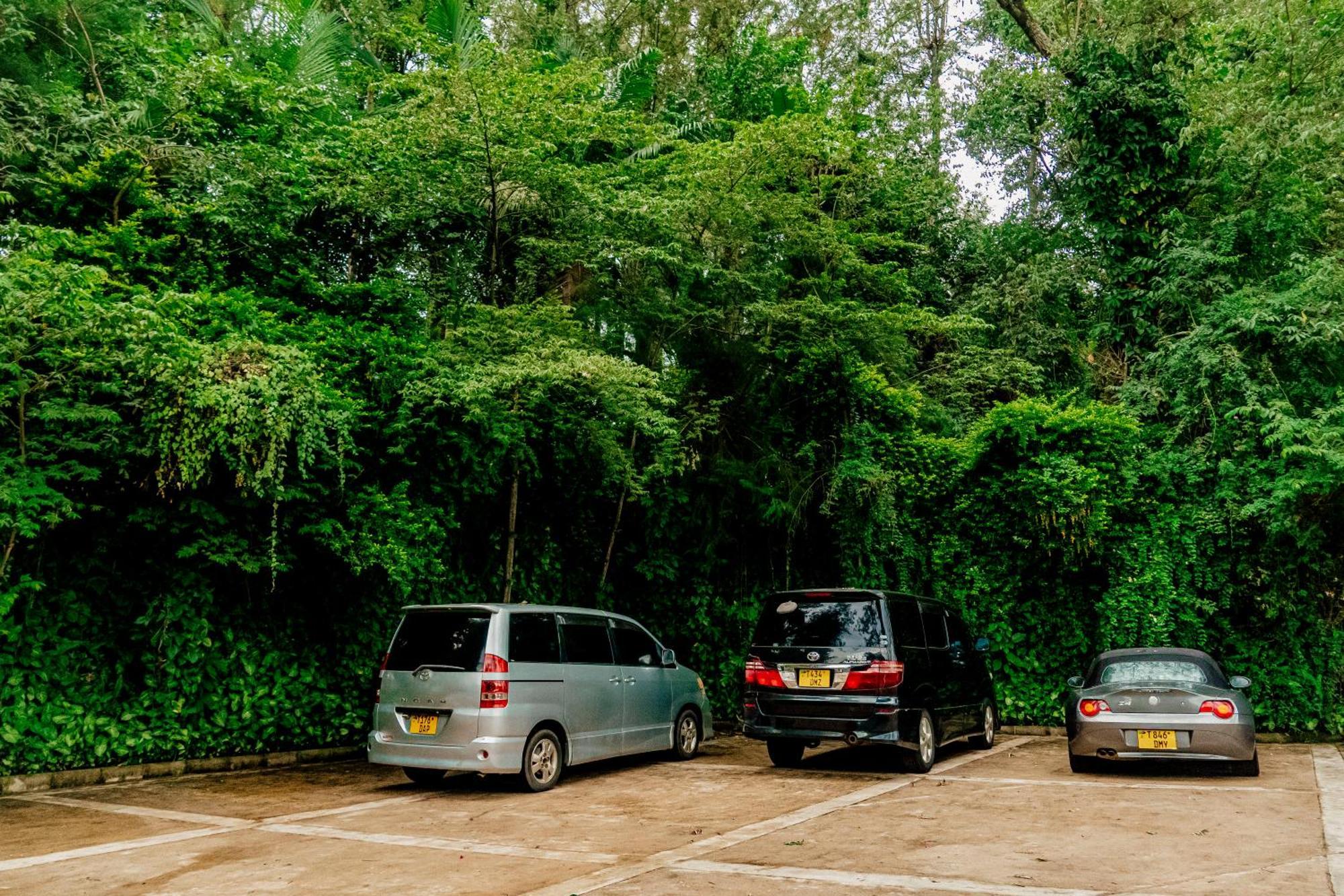 Malkia Trees Lodge Arusha Exterior photo