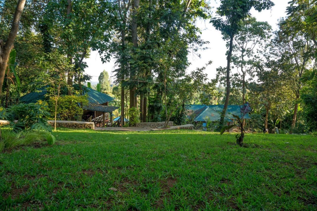 Malkia Trees Lodge Arusha Exterior photo